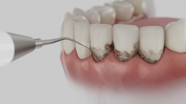 Reliable Dental contractor in Rice, TX by Dentist Open Now